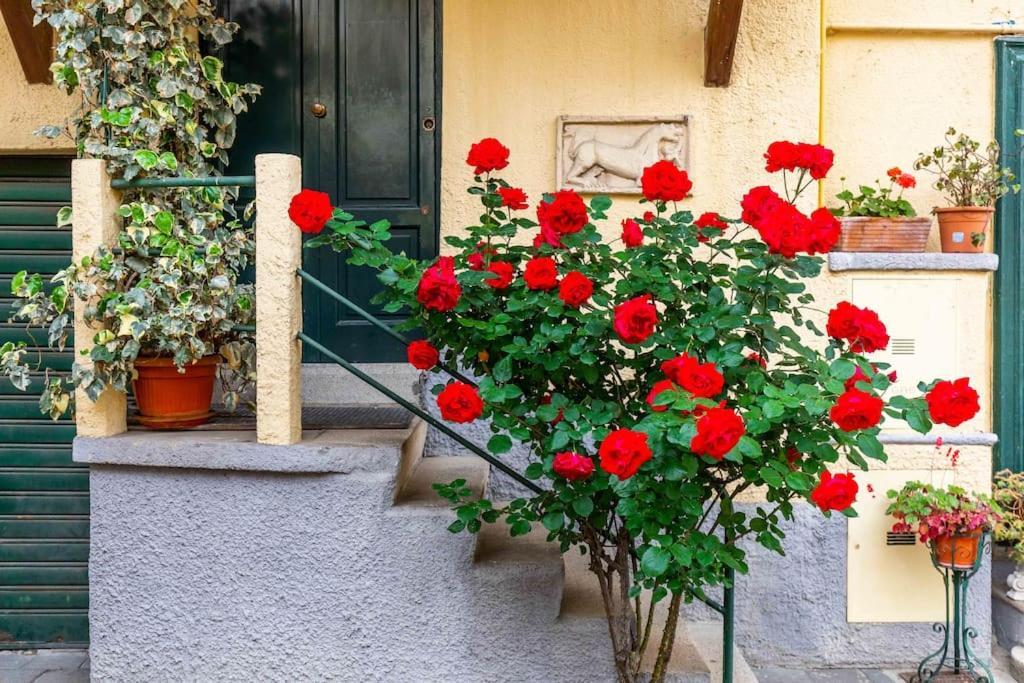 Relax Stay In A Typical Milan Courtyard - Navigli Экстерьер фото